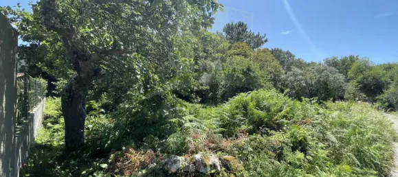 Земельный участок в Виана ду Каштелу, Португалия № 59061 3