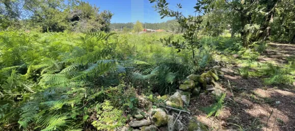 Земельный участок в Виана ду Каштелу, Португалия № 59061 18