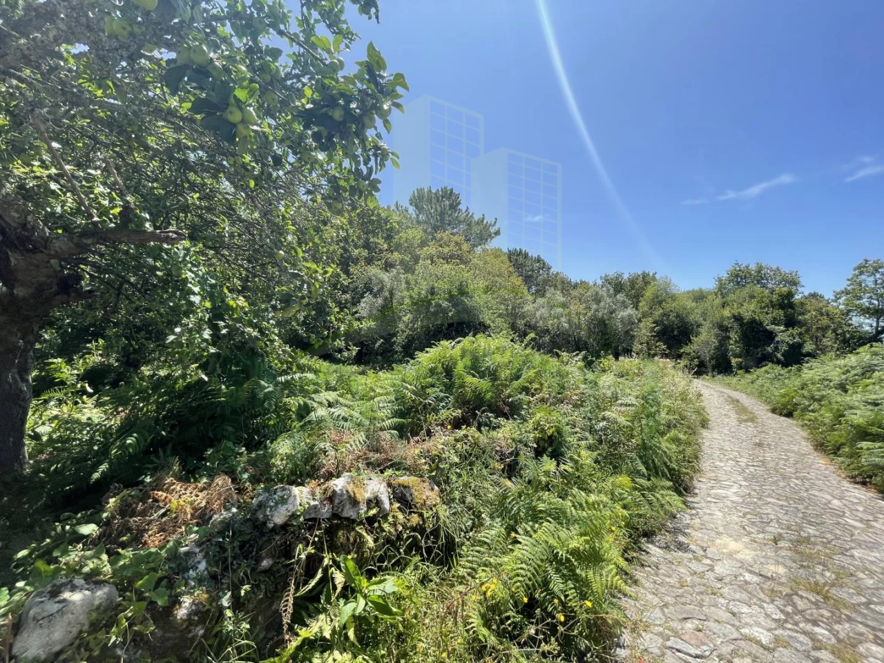 Земельный участок в Виана ду Каштелу, Португалия № 59061