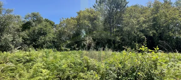 Земельный участок в Виана ду Каштелу, Португалия № 59061 7