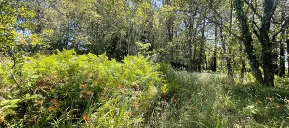 Земельный участок в Виана ду Каштелу, Португалия № 59061 9