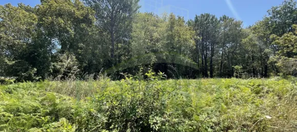 Земельный участок в Виана ду Каштелу, Португалия № 59061 6