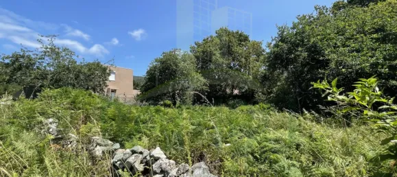 Земельный участок в Виана ду Каштелу, Португалия № 59061 4