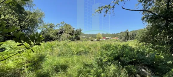 Земельный участок в Виана ду Каштелу, Португалия № 59061 13