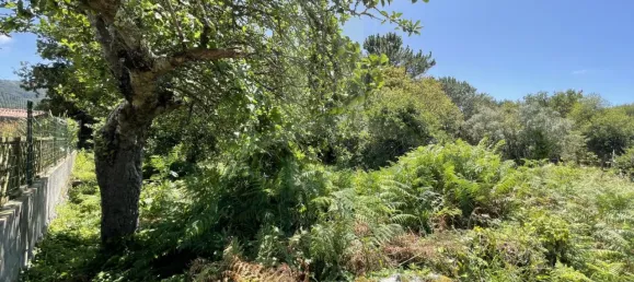 Земельный участок в Виана ду Каштелу, Португалия № 59061 21