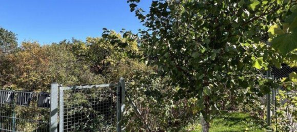 Таунхаус с 4 комнатами в Кремс ан дер Донау, Австрия № 141132 24