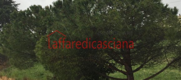 8-Zimmer Haus in Chianni, Italy, Nr. 147034 23