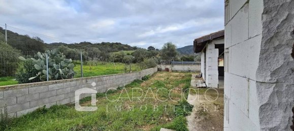 2 Schlafzimmer Villa in Loiri Porto San Paolo, Italy, Nr. 114712 22