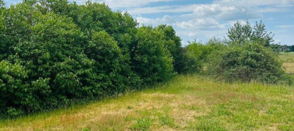  Land in Jerichower Land, Germany No. 226562 5