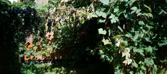 Grundstück in Oder-Spree, Germany, Nr. 335012 5