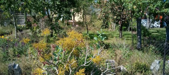 Grundstück in Oder-Spree, Germany, Nr. 335012 3