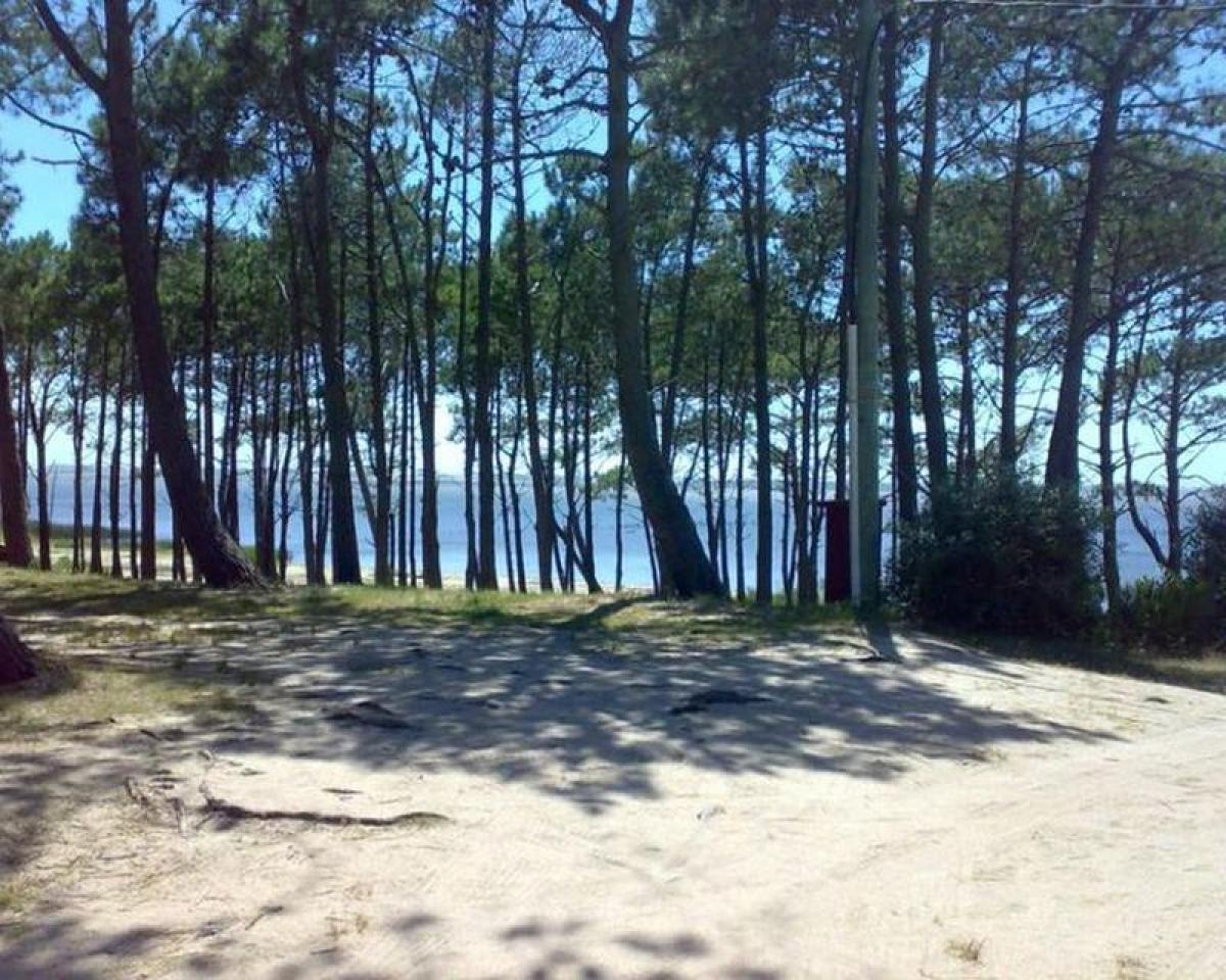  قطعة أرض في Maldonado, Uruguay رقم 14827