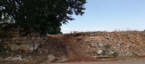 8000m² Land in Alberobello, Italy No. 165816 11