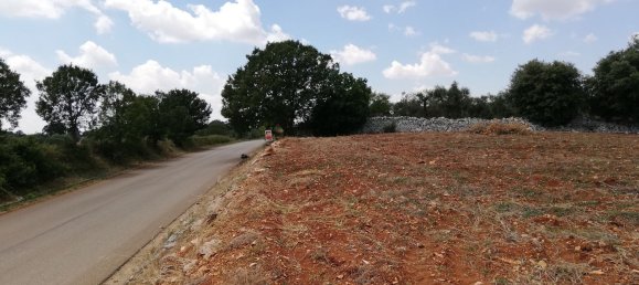 8000m² Land in Alberobello, Italy No. 165816 4