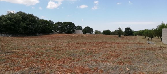 8000m² Land in Alberobello, Italy No. 165816 6