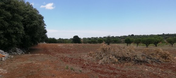 8000m² Land in Alberobello, Italy No. 165816 15