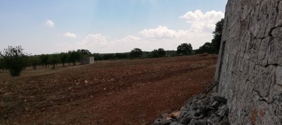 8000m² Land in Alberobello, Italy No. 165816 13