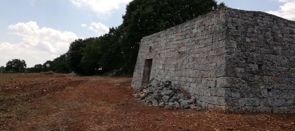 8000m² Land in Alberobello, Italy No. 165816 10
