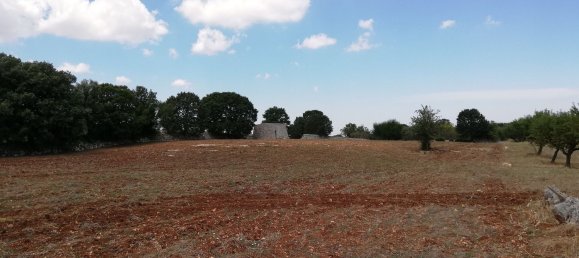 8000m² Land in Alberobello, Italy No. 165816 7