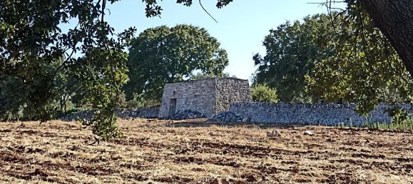 8000m² Land in Alberobello, Italy No. 165816 29