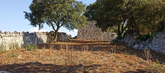 8000m² Land in Alberobello, Italy No. 165816 30