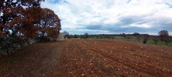 8000m² Land in Alberobello, Italy No. 165816 20