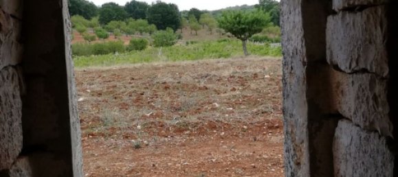 8000m² Land in Alberobello, Italy No. 165816 17
