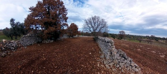 8000m² Land in Alberobello, Italy No. 165816 24