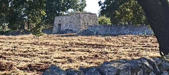 8000m² Land in Alberobello, Italy No. 165816 3