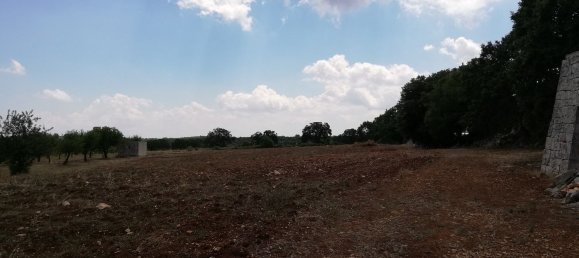 8000m² Land in Alberobello, Italy No. 165816 9