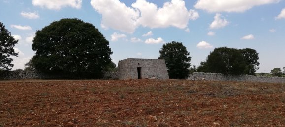 8000m² Land in Alberobello, Italy No. 165816 2
