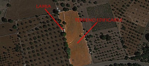 8000m² Land in Alberobello, Italy No. 165816 33