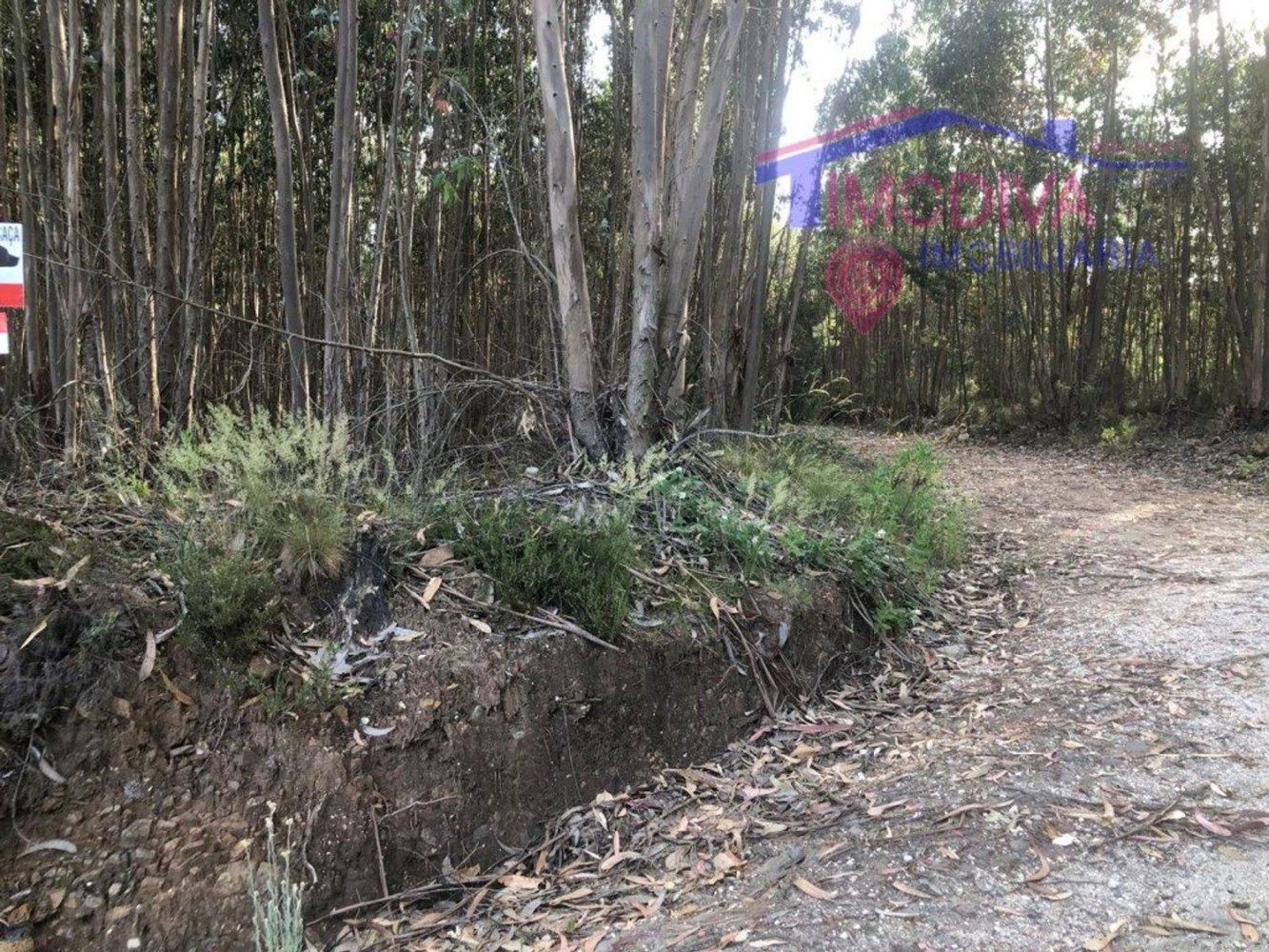 Terrain à Figueiro dos Vinhos, Portugal No. 193119