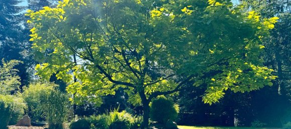 Дом с 2 спальнями в Ольденбург, Германия № 170562 20