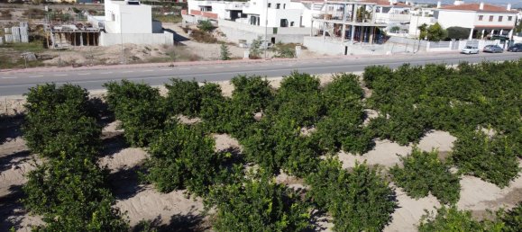 3 bedrooms Villa in Daya Nueva, Spain No. 11238 19