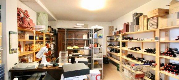 8-Zimmer Gewerbliche Immobilie in Valeggio sul Mincio, Italy, Nr. 167028 48