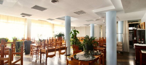 8-Zimmer Gewerbliche Immobilie in Valeggio sul Mincio, Italy, Nr. 167028 24