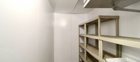 8-Zimmer Gewerbliche Immobilie in Valeggio sul Mincio, Italy, Nr. 167028 45