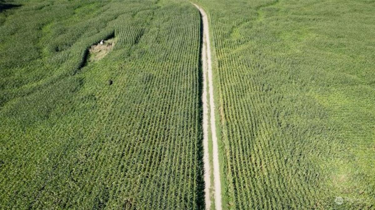 Земельный участок в Эверсон, США № 484100