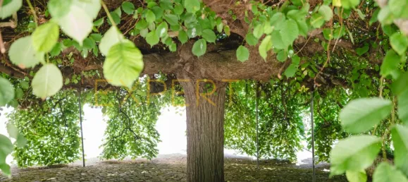 8 غرف نوم منزل في Lousa, Portugal رقم 118481 19