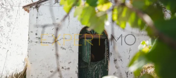 8 غرف نوم منزل في Lousa, Portugal رقم 118481 22