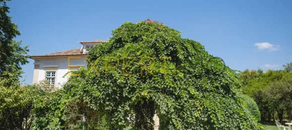 8 غرف نوم منزل في Lousa, Portugal رقم 118481 21