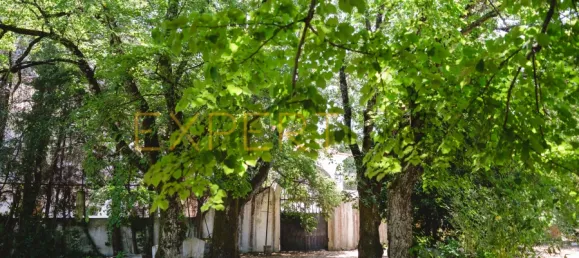 8 غرف نوم منزل في Lousa, Portugal رقم 118481 4