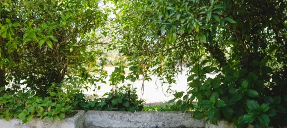 8 غرف نوم منزل في Lousa, Portugal رقم 118481 14