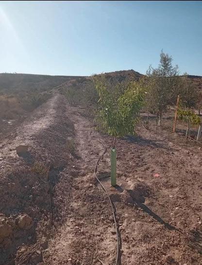 Terrain à Huercal-Overa, Spain 4600m² No. 198574