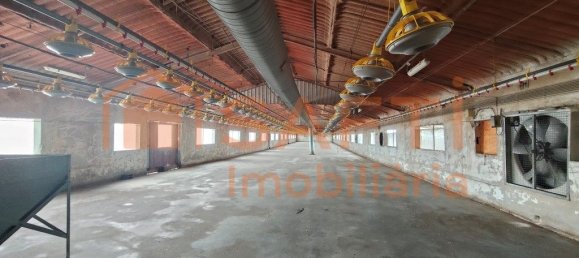 Lagerhaus in Abiul, Portugal 1268m², Nr. 302727 6