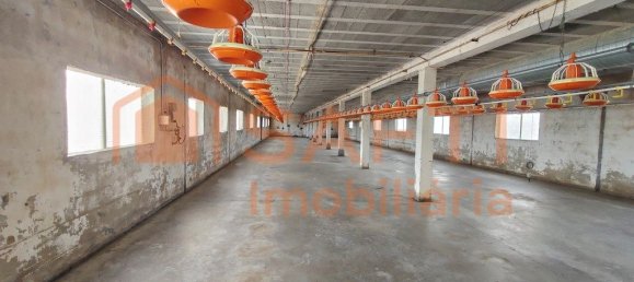 Lagerhaus in Abiul, Portugal 1268m², Nr. 302727 16