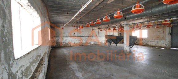 Lagerhaus in Abiul, Portugal 1268m², Nr. 302727 18