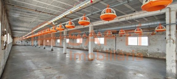 Lagerhaus in Abiul, Portugal 1268m², Nr. 302727 17