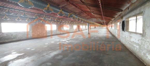 Lagerhaus in Abiul, Portugal 1268m², Nr. 302727 7